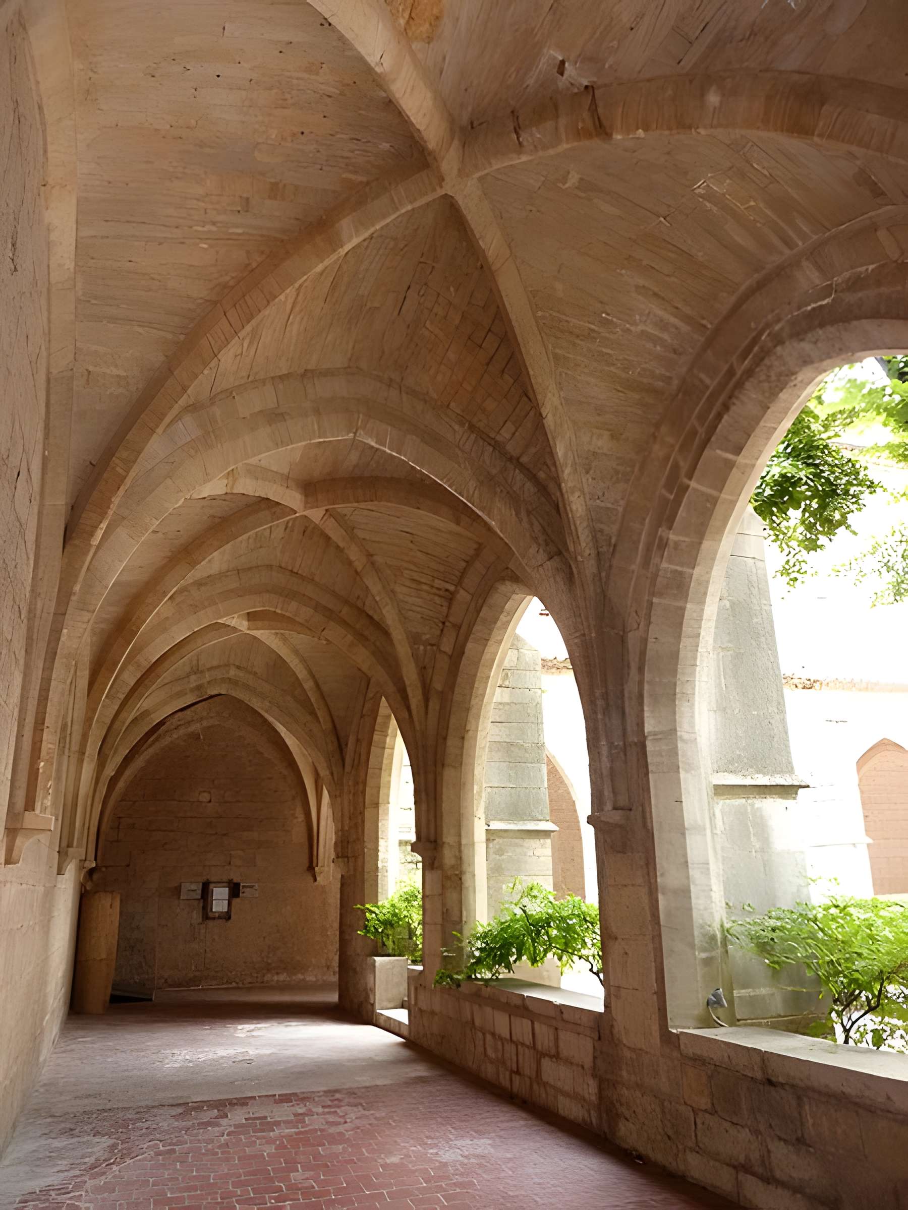 Couvent des Dominicains de Saint-Maximin-la-Sainte-Baume
