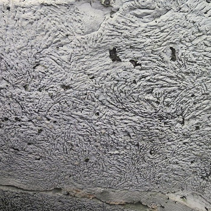 Photo de Couvent Sainte-Barbe de Canteleu