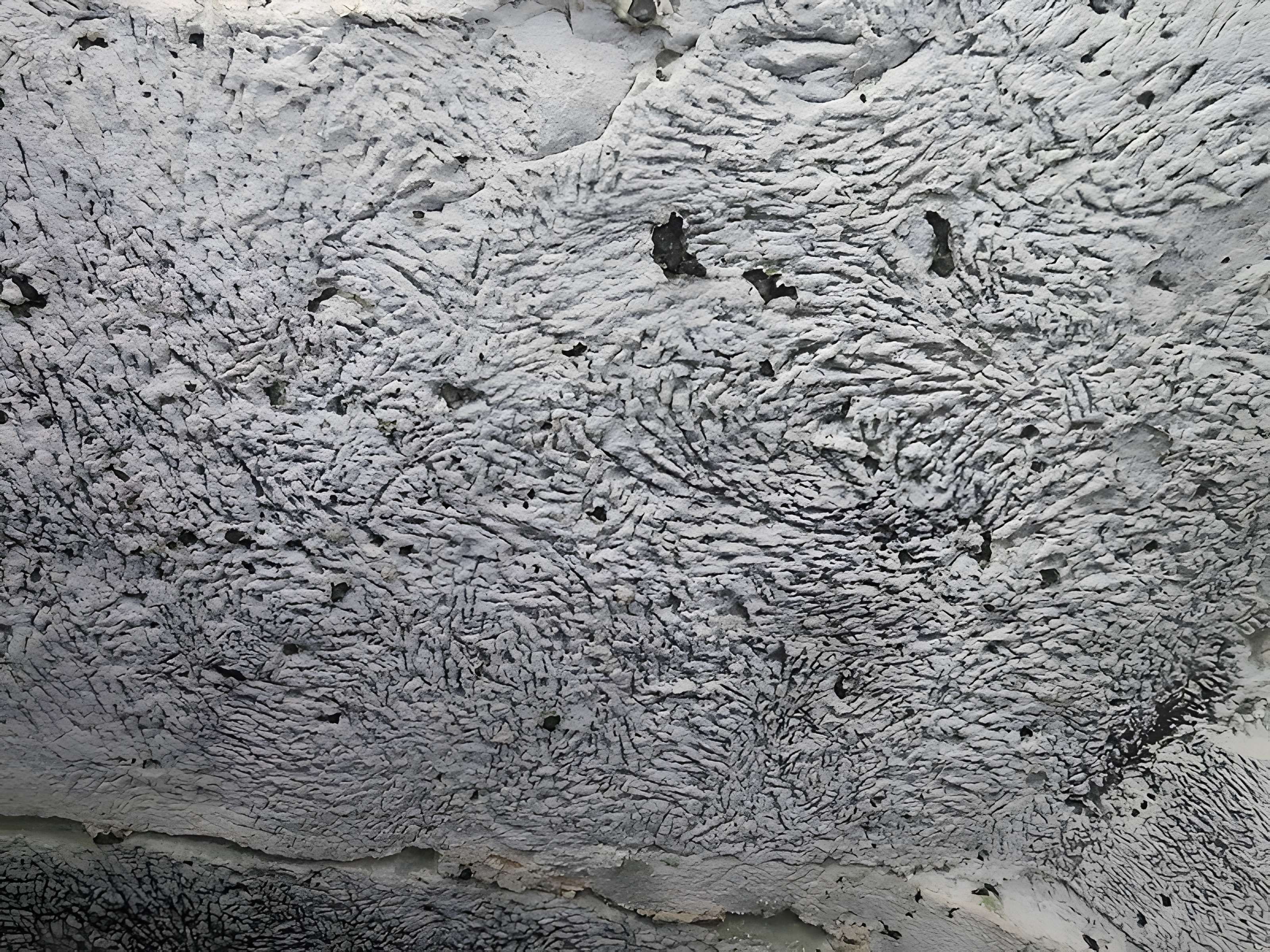 Couvent Sainte-Barbe de Canteleu