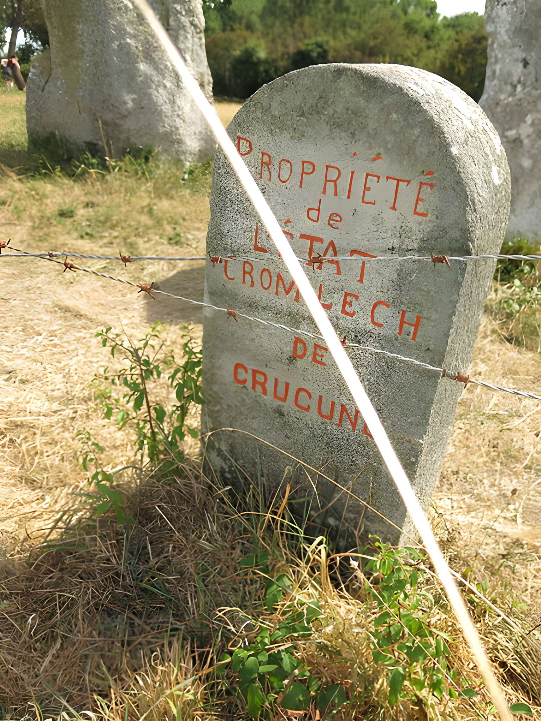 Cromlech de Crucuno à Plouharnel
