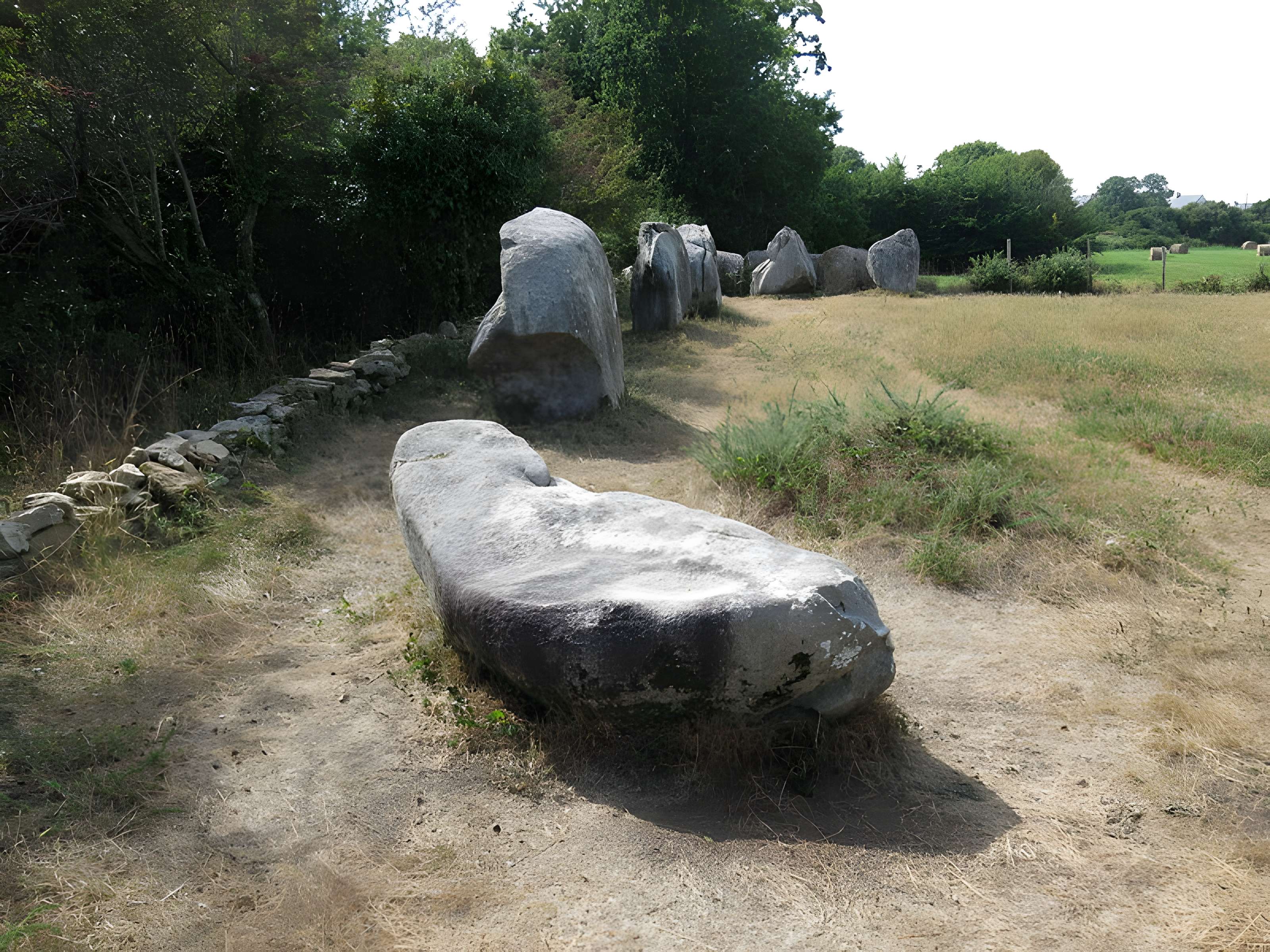 Cromlech de Crucuno à Plouharnel