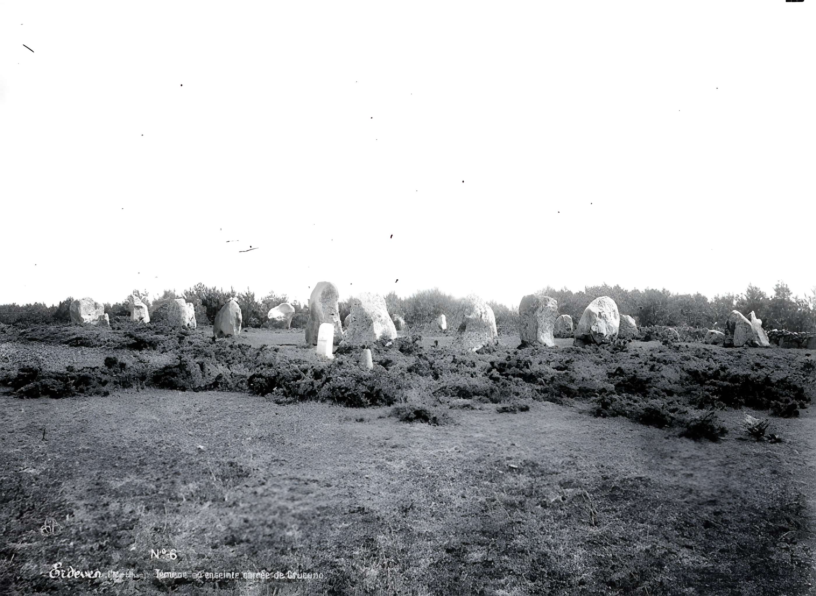 Cromlech de Crucuno à Plouharnel