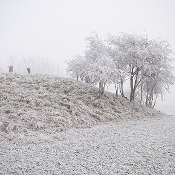 Cromlech des Bonnettes à Sailly-en-Ostrevent