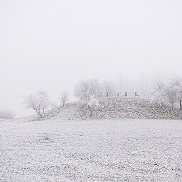Cromlech des Bonnettes à Sailly-en-Ostrevent