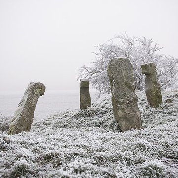 Cromlech des Bonnettes à Sailly-en-Ostrevent