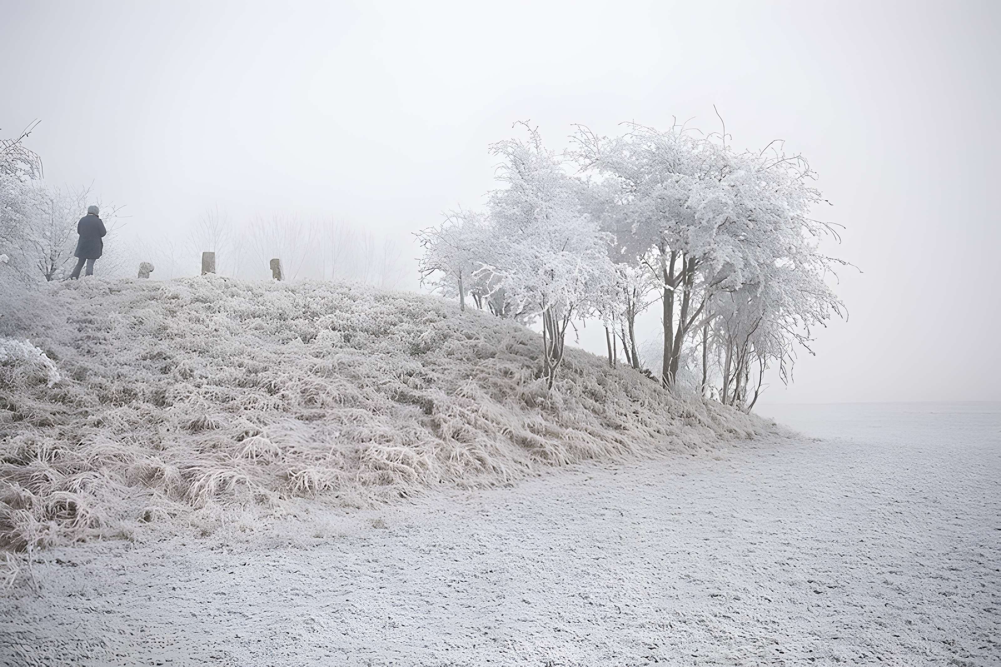 Cromlech des Bonnettes à Sailly-en-Ostrevent