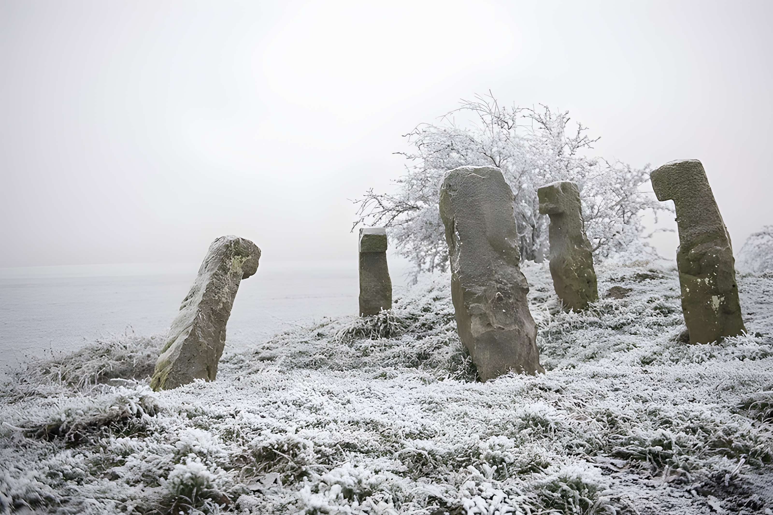 Cromlech des Bonnettes à Sailly-en-Ostrevent