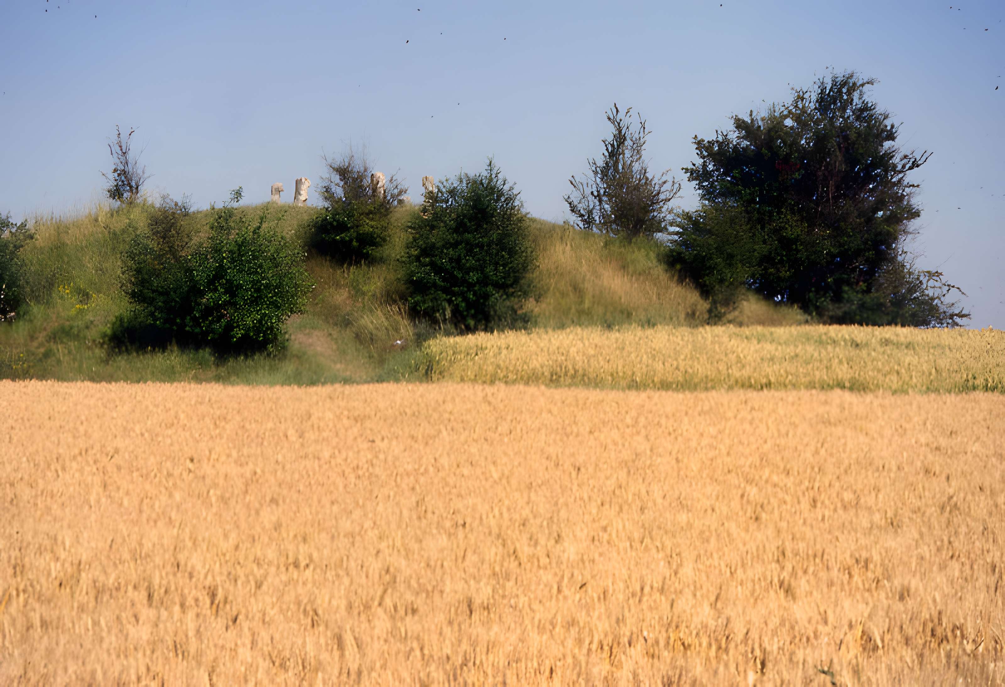 Cromlech des Bonnettes à Sailly-en-Ostrevent