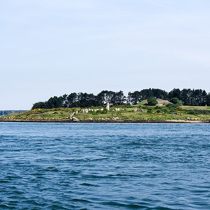 Photo de Cromlechs et ilots dEr-Lanic