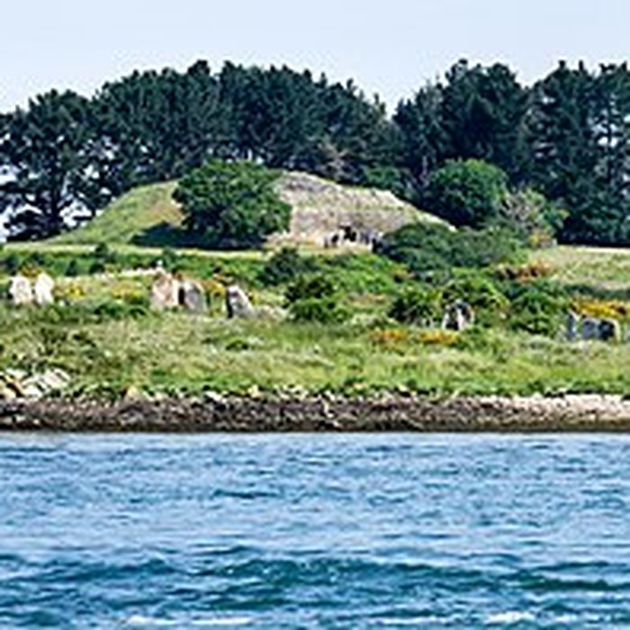 Photo de Cromlechs et ilots dEr-Lanic