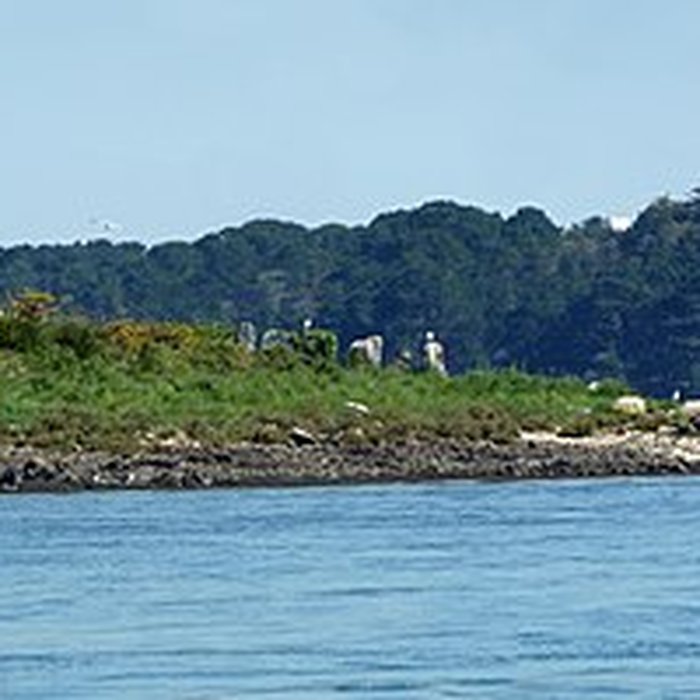 Photo de Cromlechs et ilots dEr-Lanic