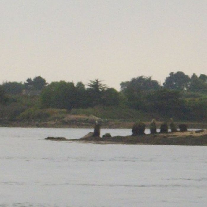 Photo de Cromlechs et ilots dEr-Lanic