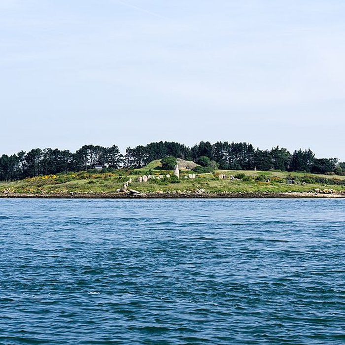 Photo de Cromlechs et ilots dEr-Lanic