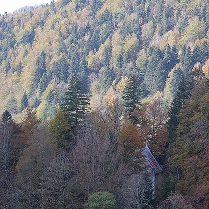Photo de Demeure de maître de forges à Bourg-de-Sirod