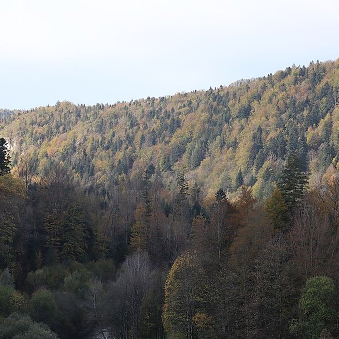 Photo de Demeure de maître de forges à Bourg-de-Sirod