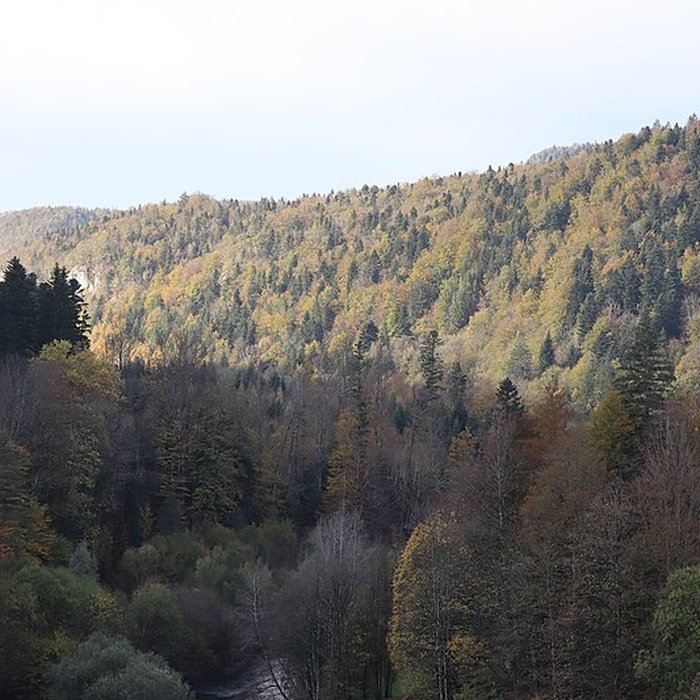Photo de Demeure de maître de forges à Bourg-de-Sirod