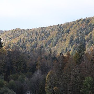 Demeure de maître de forges à Bourg-de-Sirod
