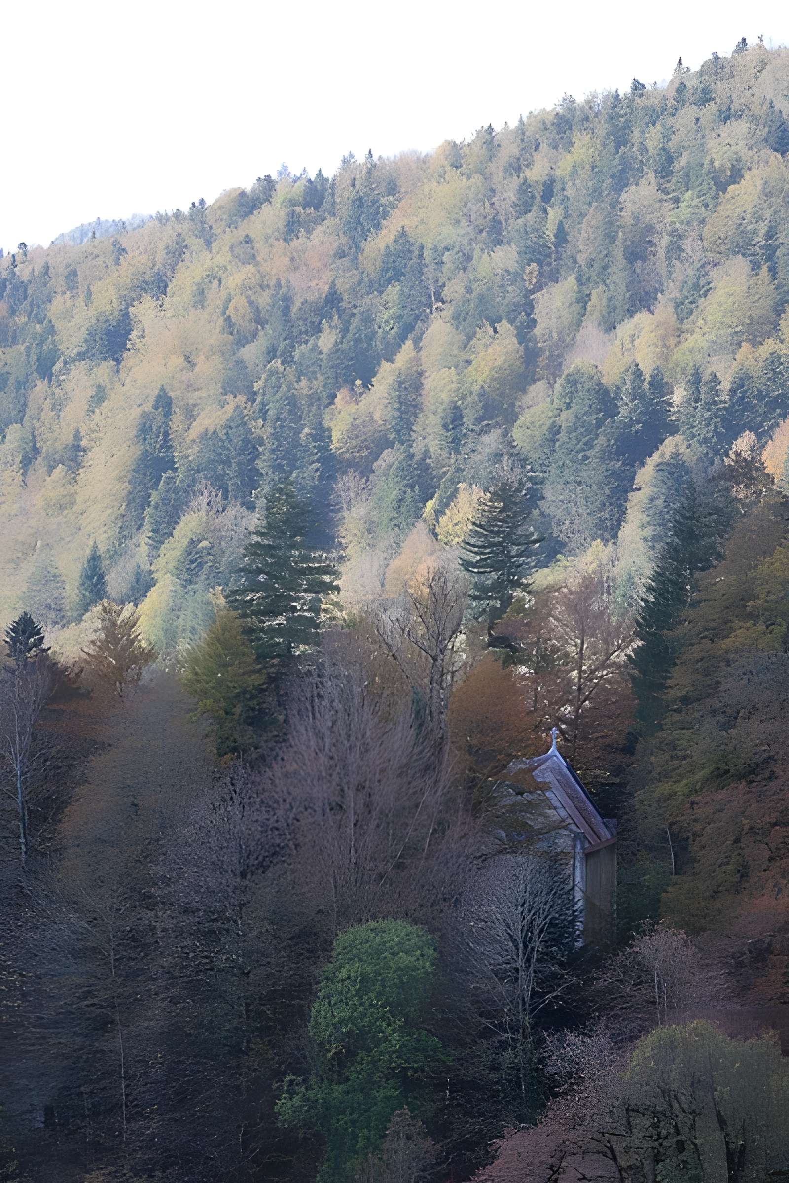 Demeure de maître de forges à Bourg-de-Sirod