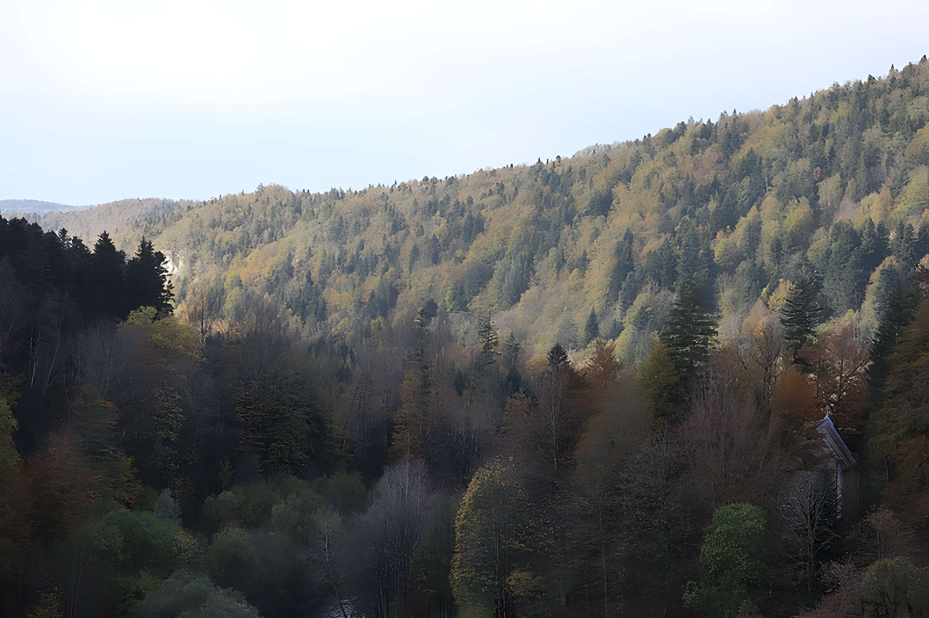 Demeure de maître de forges à Bourg-de-Sirod