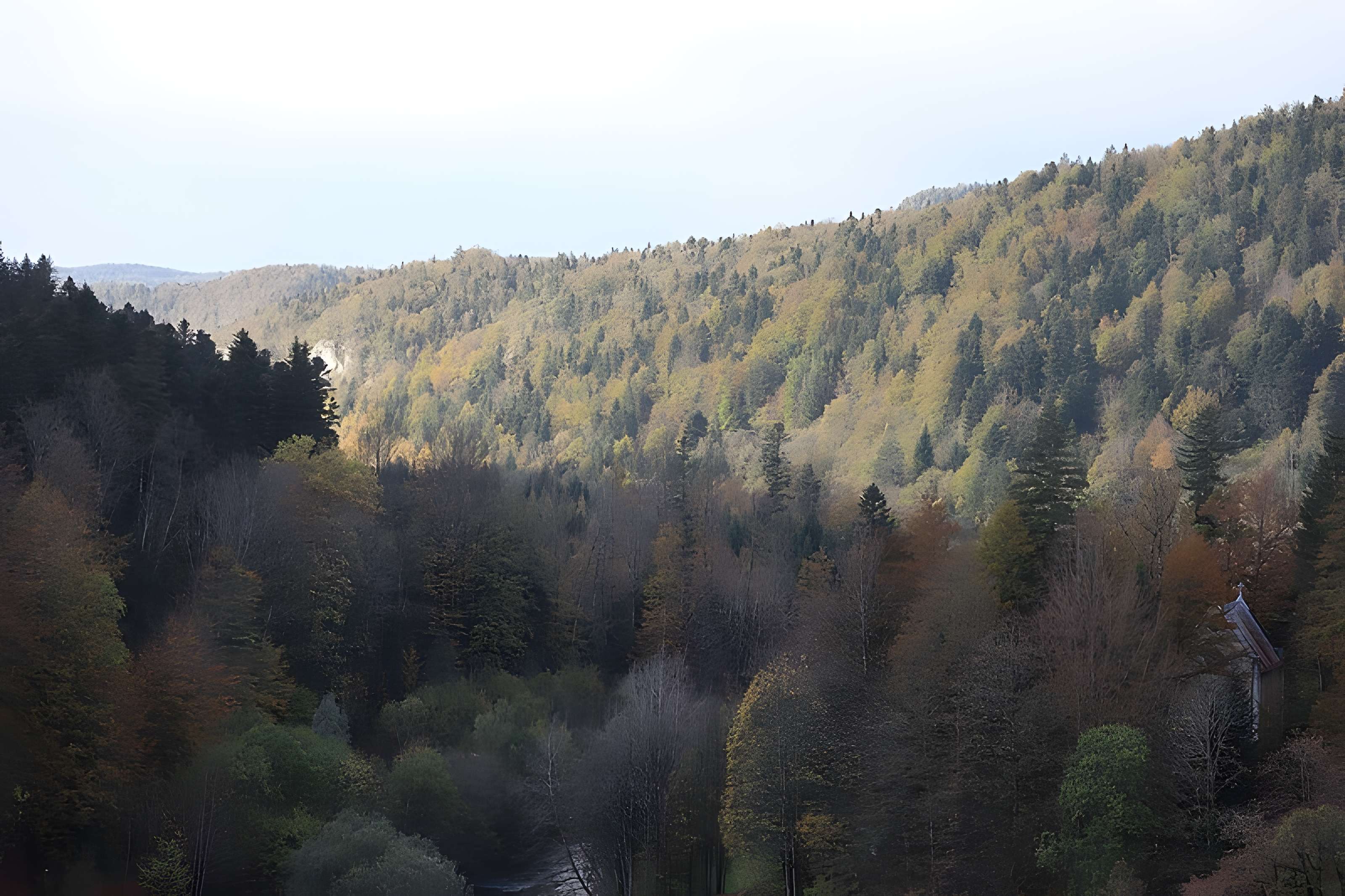 Demeure de maître de forges à Bourg-de-Sirod