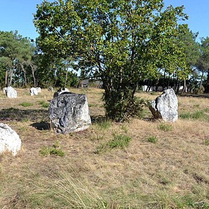 Photo de Demoiselles de Langon