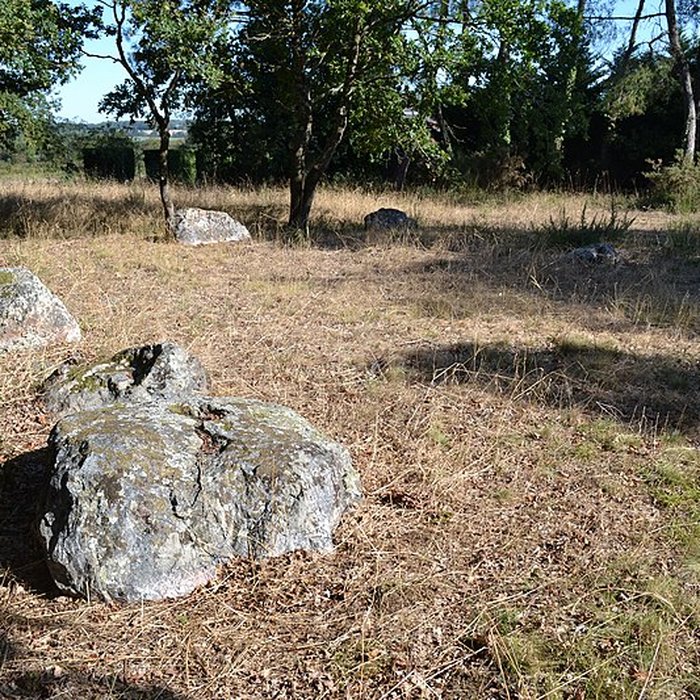 Photo de Demoiselles de Langon