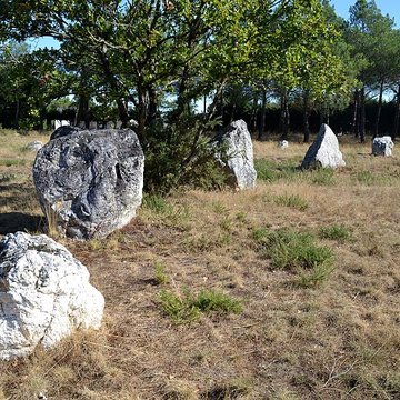 Demoiselles de Langon