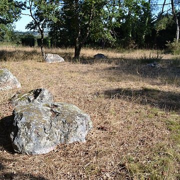 Demoiselles de Langon