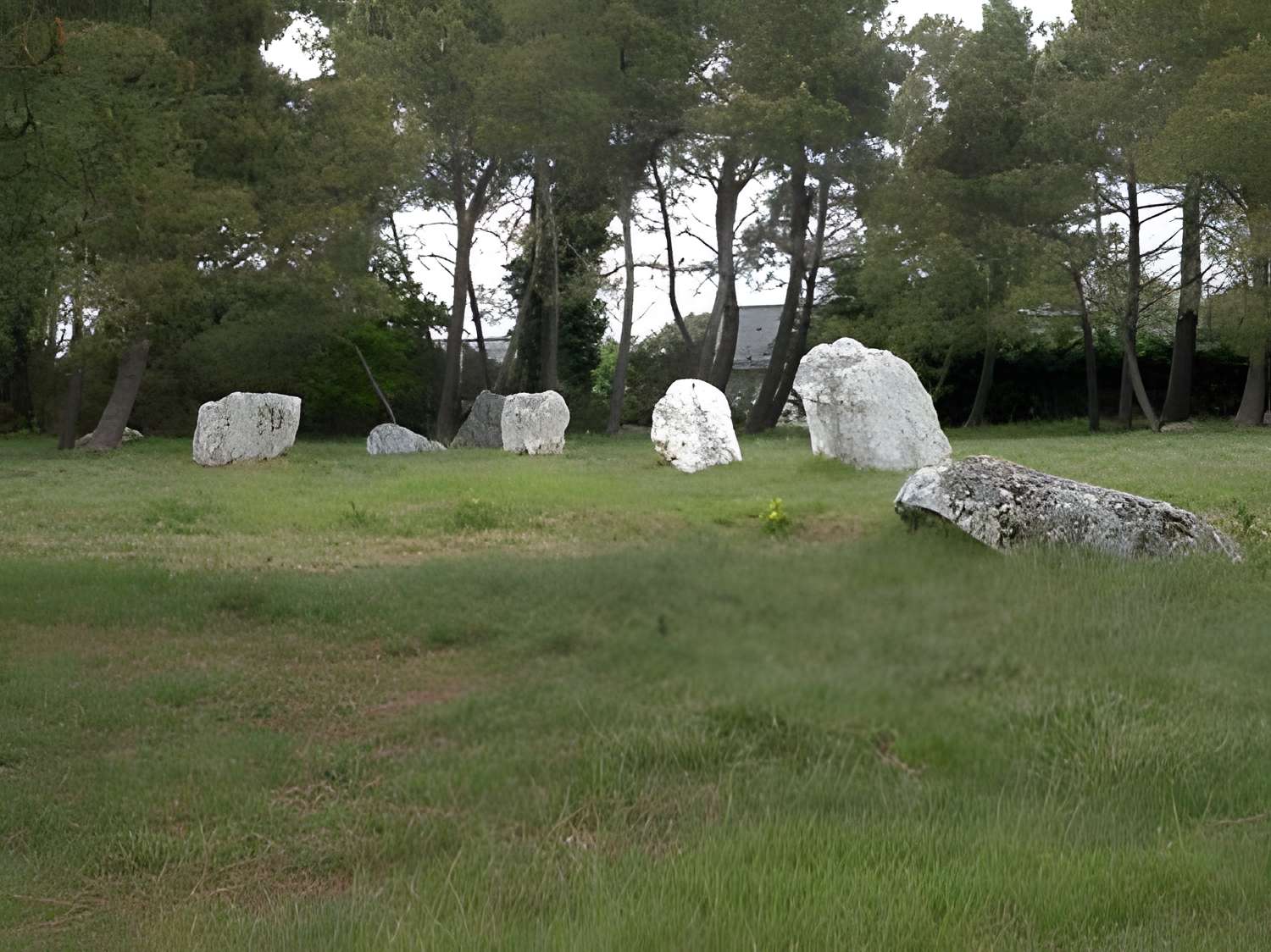 Demoiselles de Langon 