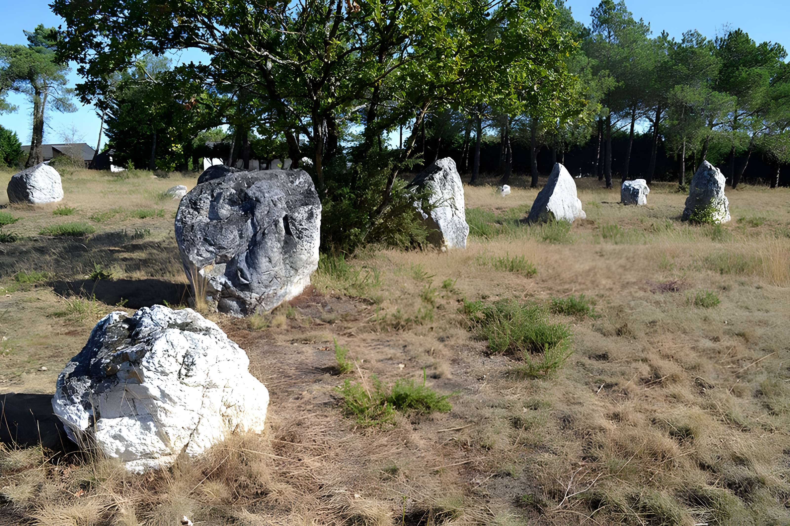 Demoiselles de Langon
