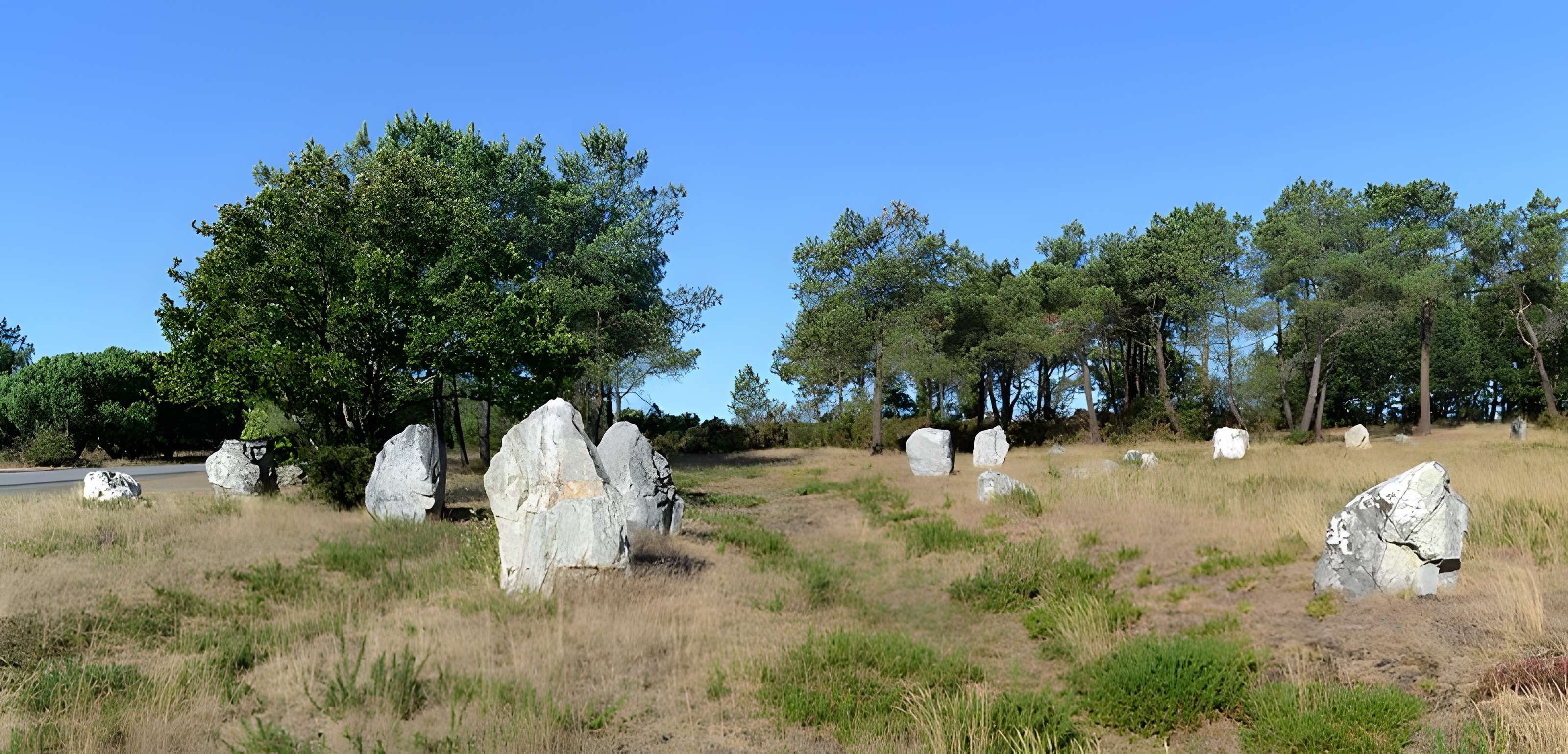 Demoiselles de Langon
