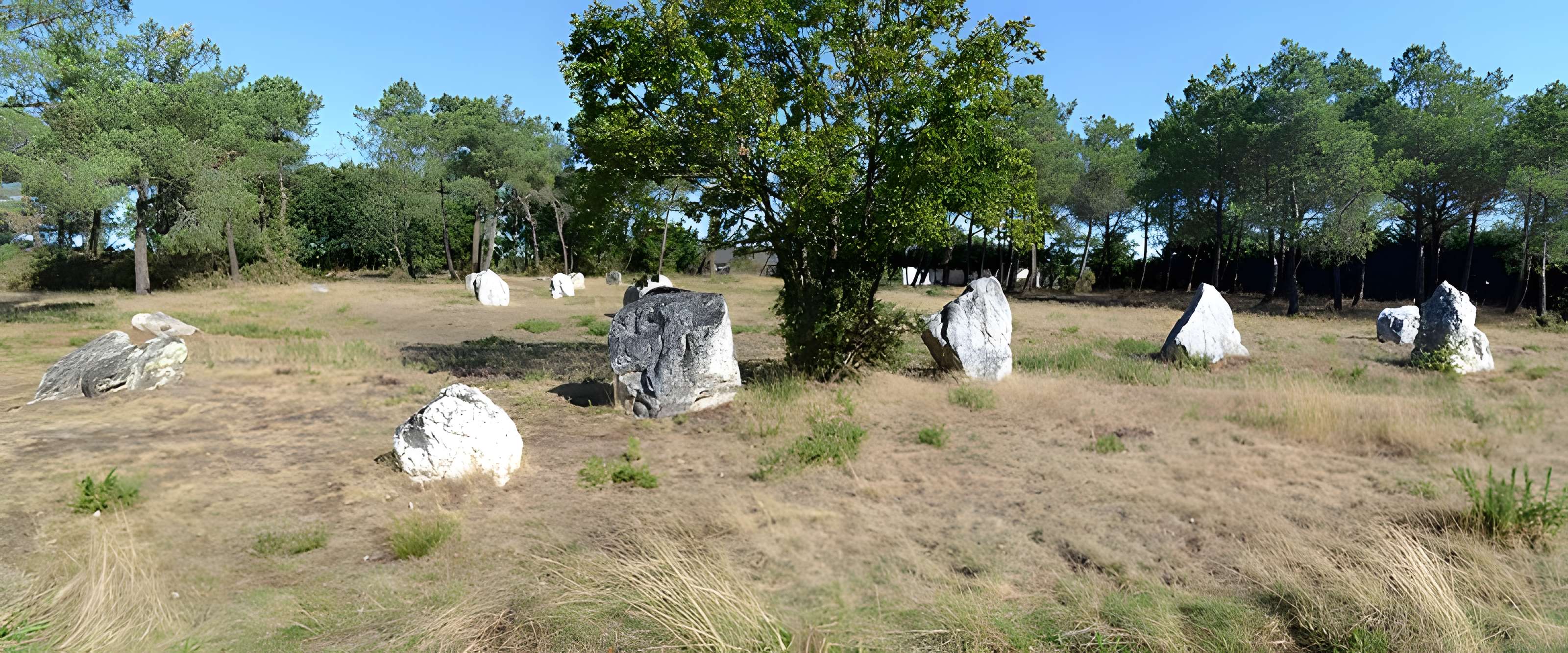 Demoiselles de Langon