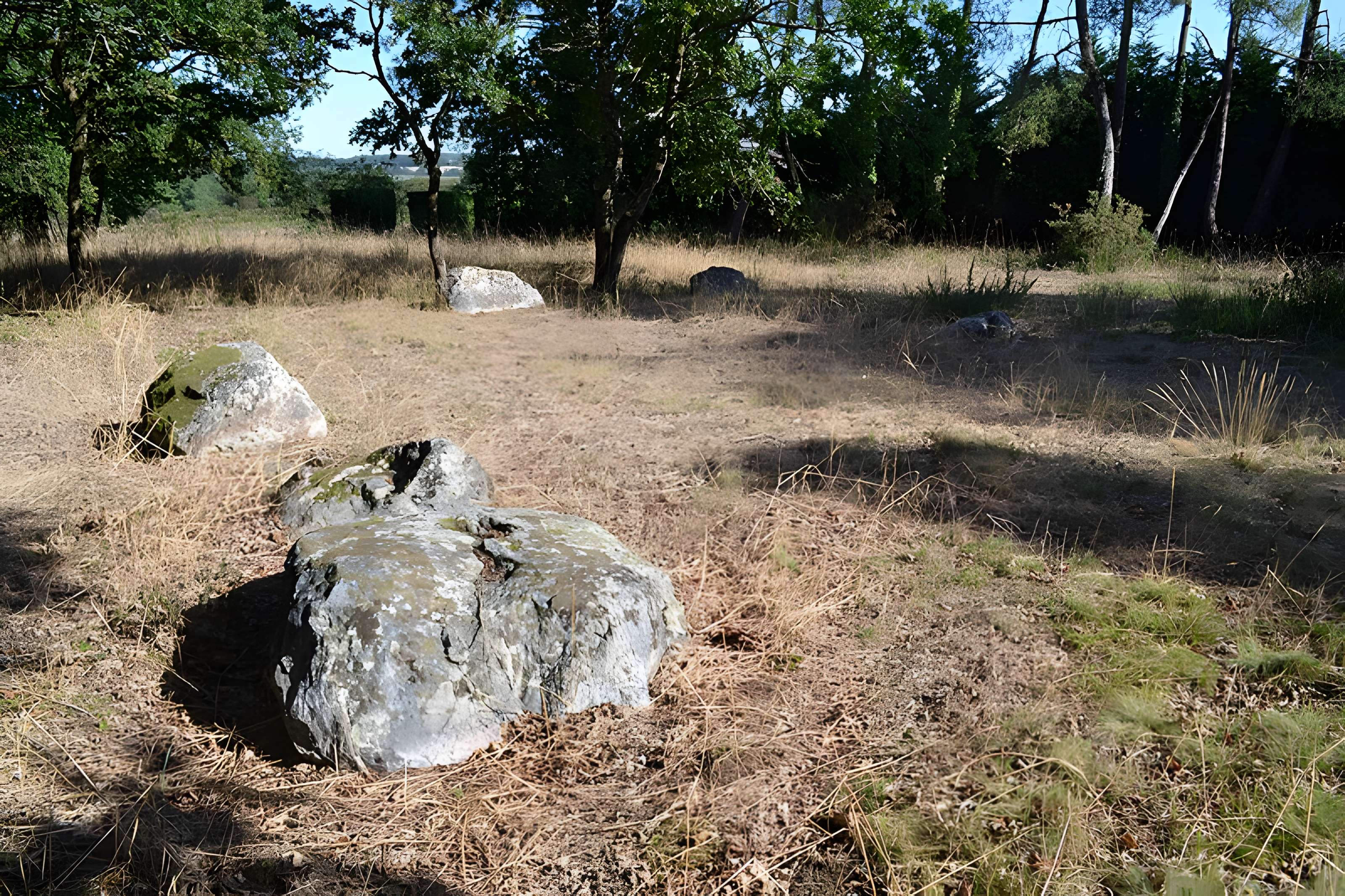Demoiselles de Langon