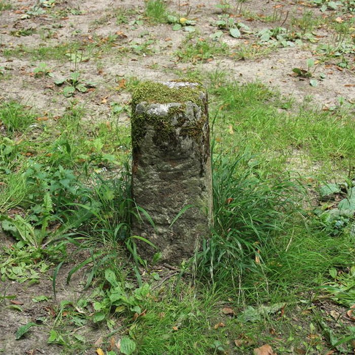 Photo de Désert de Retz à Chambourcy