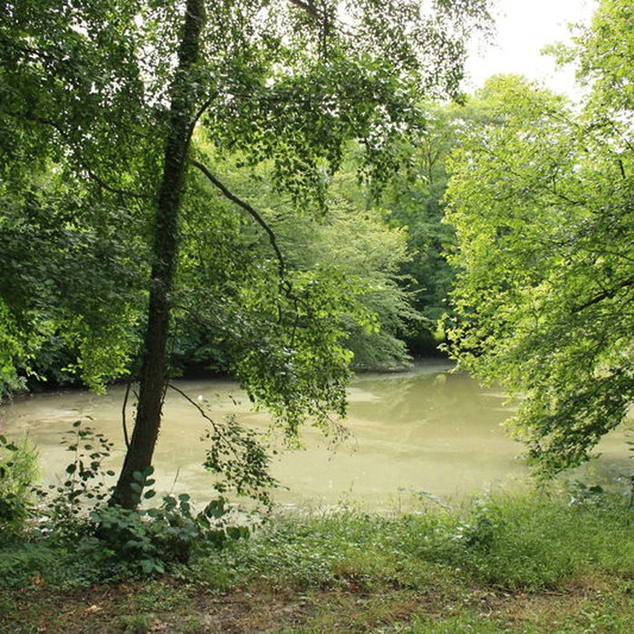 Photo de Désert de Retz à Chambourcy