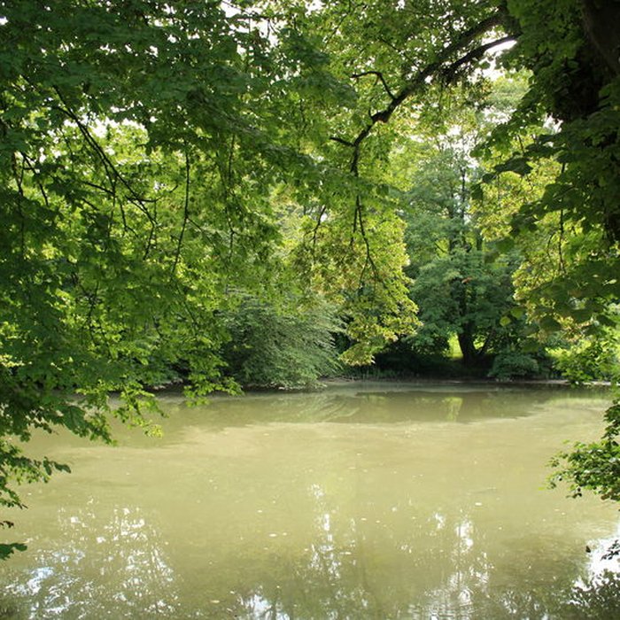 Photo de Désert de Retz à Chambourcy