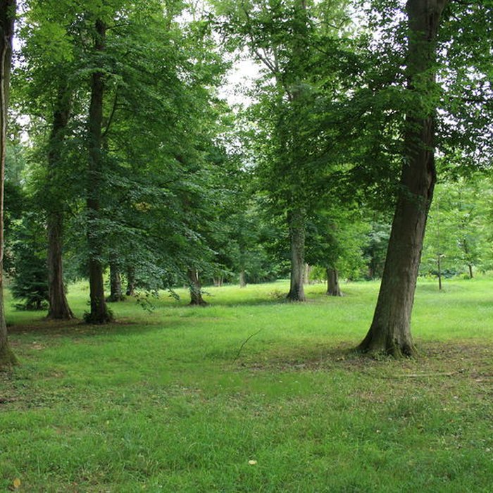 Photo de Désert de Retz à Chambourcy