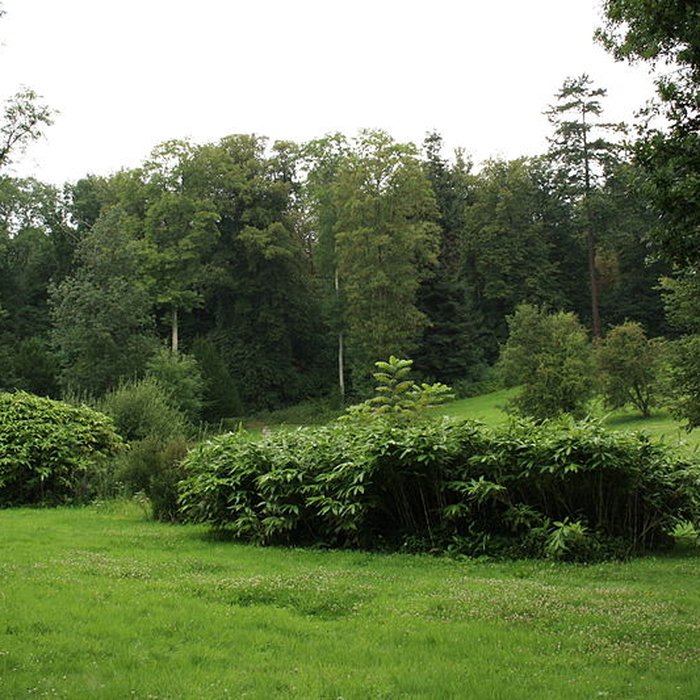 Photo de Désert de Retz à Chambourcy