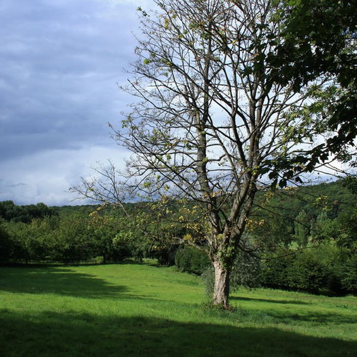 Photo de Désert de Retz à Chambourcy
