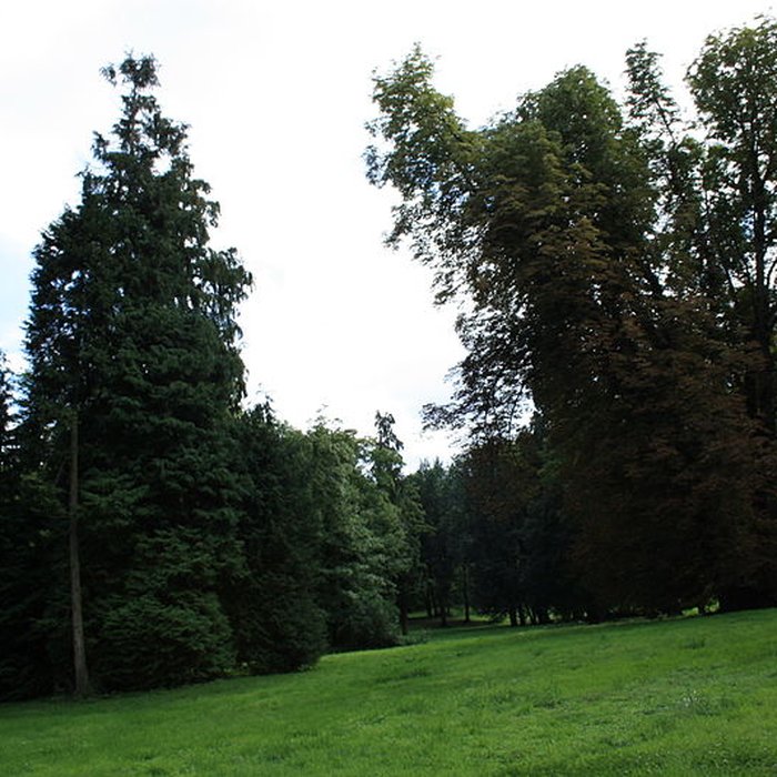 Photo de Désert de Retz à Chambourcy