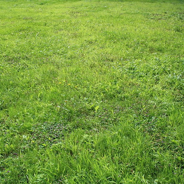 Photo de Désert de Retz à Chambourcy