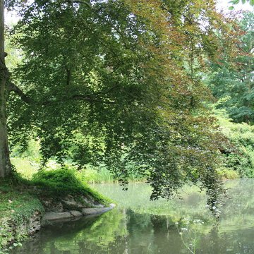 Désert de Retz à Chambourcy