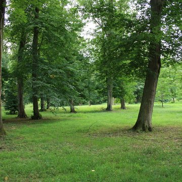 Désert de Retz à Chambourcy