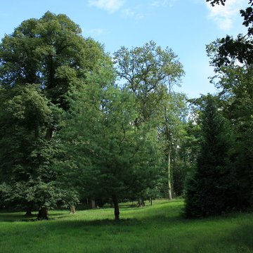 Désert de Retz à Chambourcy