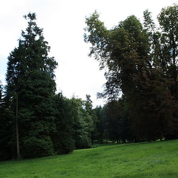Désert de Retz à Chambourcy