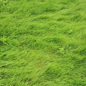 Désert de Retz à Chambourcy