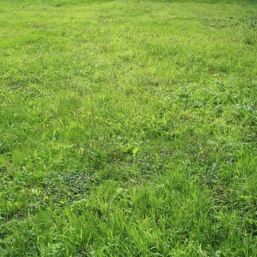 Désert de Retz à Chambourcy