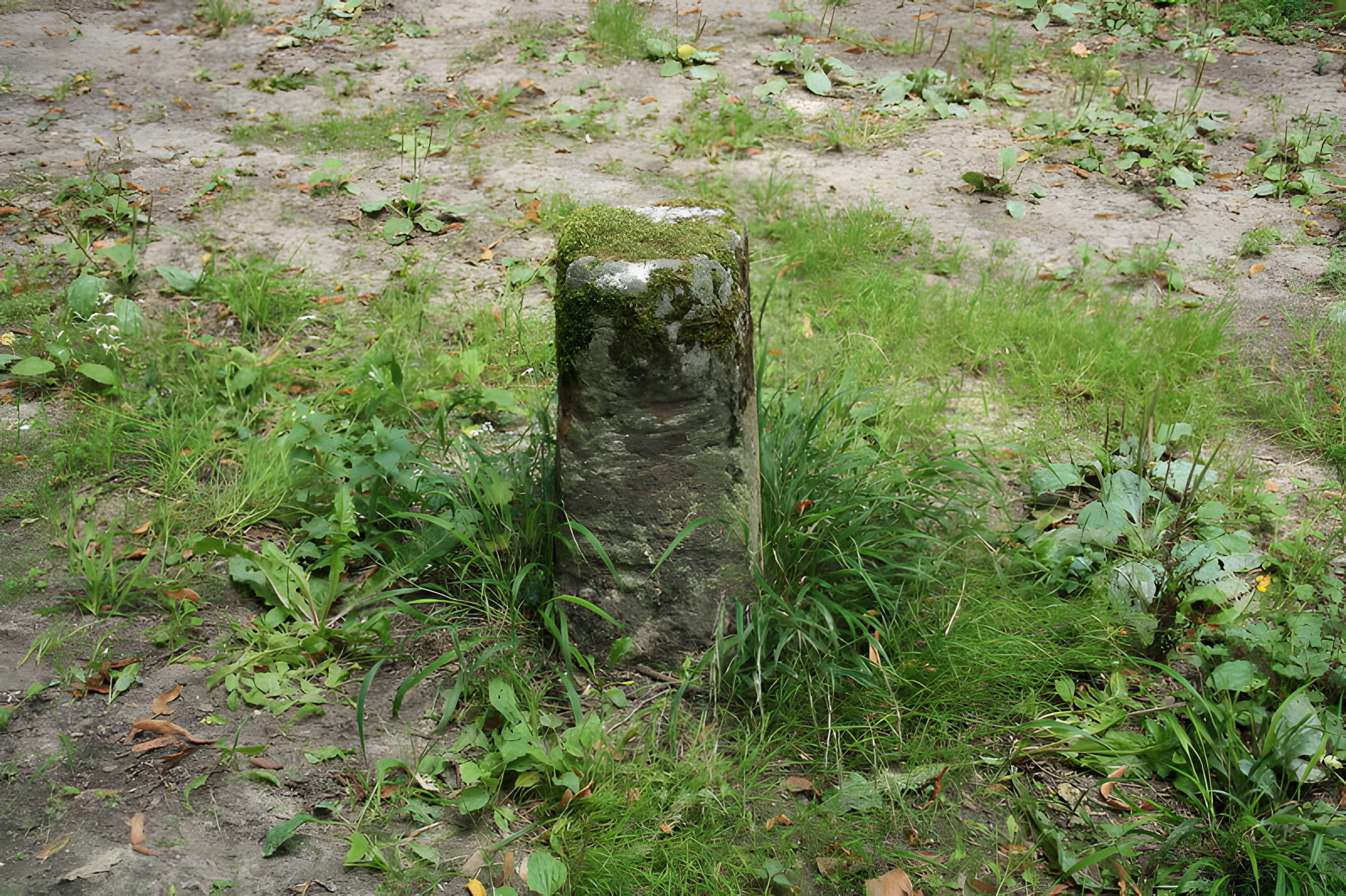 Désert de Retz à Chambourcy