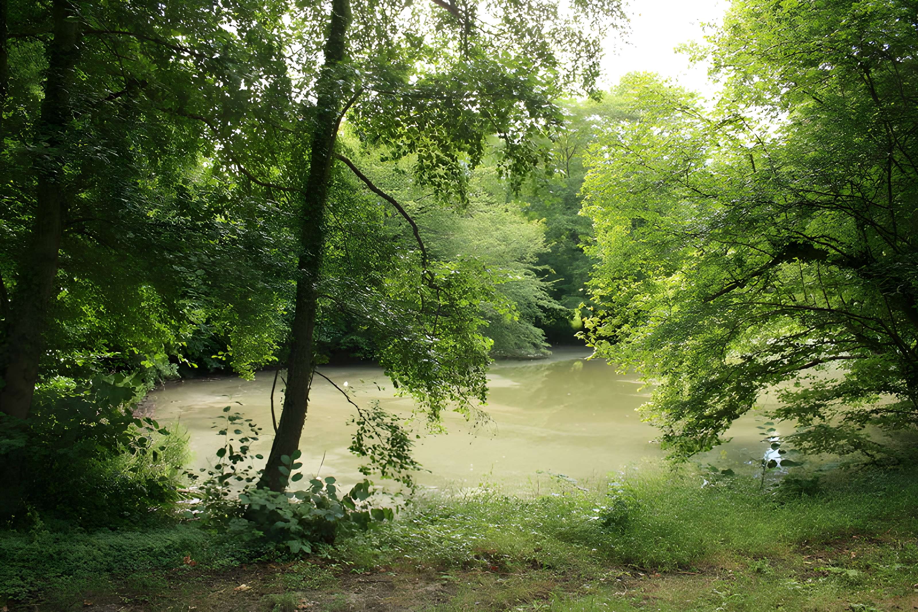 Désert de Retz à Chambourcy