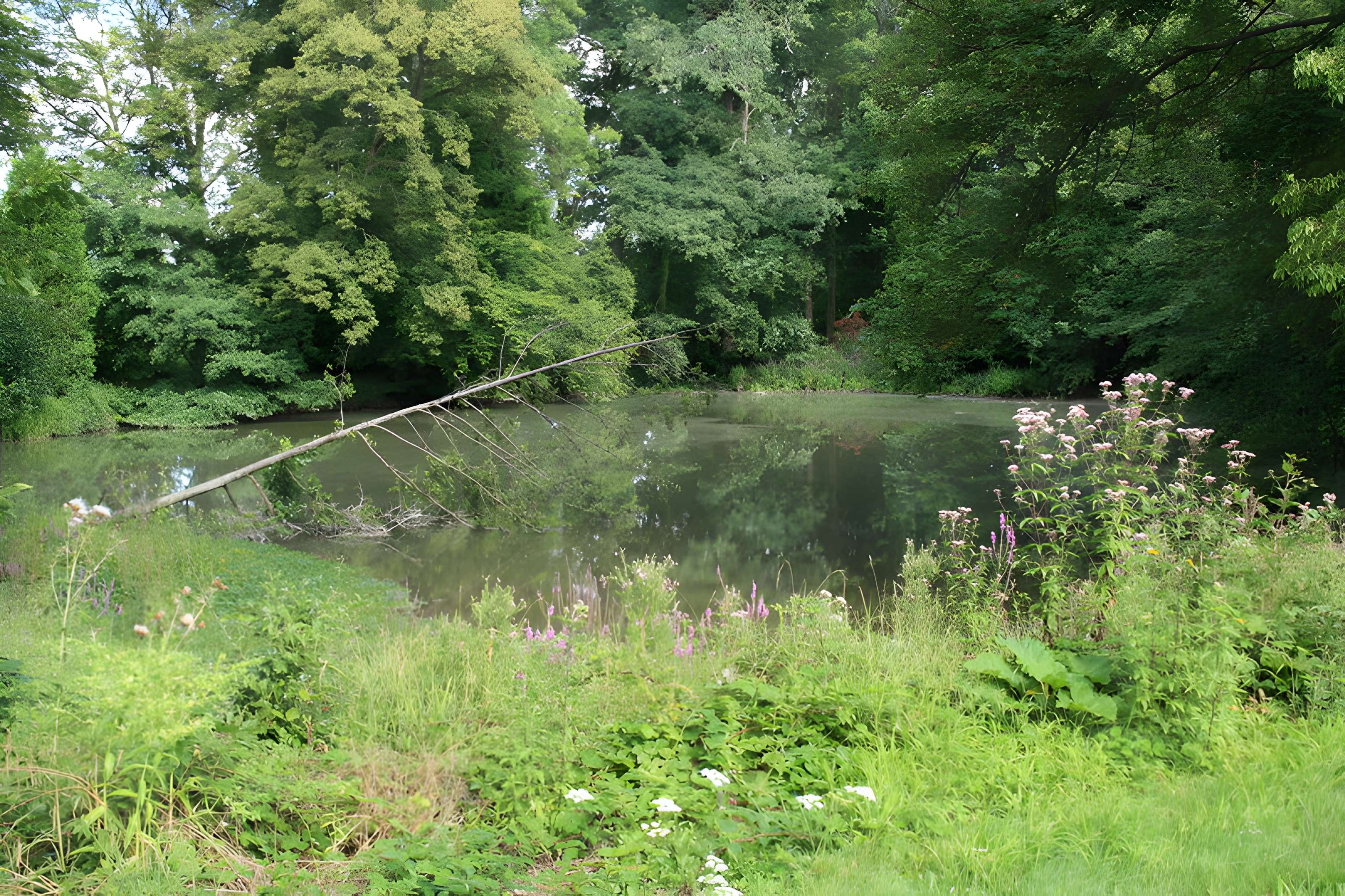 Désert de Retz à Chambourcy